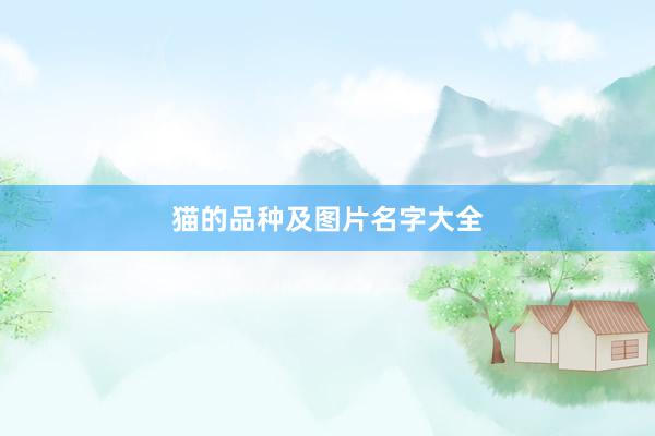 猫的品种及图片名字大全